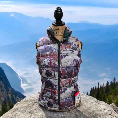 Nwt the north face - the,