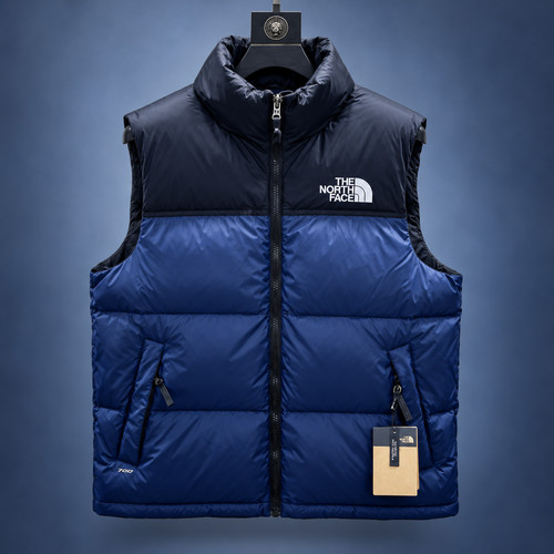 The north face 1996 - north, retro